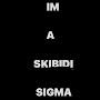 @TheSkibidiSigma702