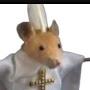 Priest rat
