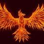 Untamable Phoenix