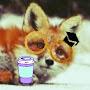 lattuce fox