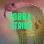 @cobrastrike8080