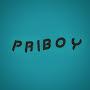 @PRIBOY-2010