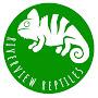 Riverview Reptiles