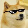 DopeDoge360