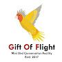 @GiftOfFlight_India