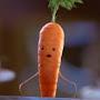 @carrotman