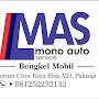 mono auto service