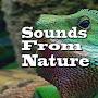 Sounds From Nature