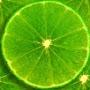 Rate Lime