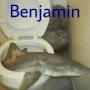 BENJAMIN