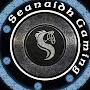 Seanaidh not gaming account