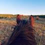 Жизнь в селе🌄Лошади🐎