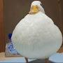 THICCC DUCK