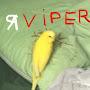 VIPER TF2