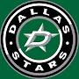 Stars fan