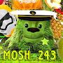 Mosh_243