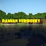 @damianverhoeks3544