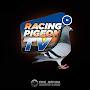 Racing Pigeon Tv