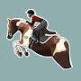 Equestrian_girl🐎
