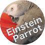 @einsteinparrot