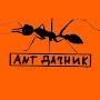 Ant Дачник