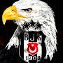 @sadecebesiktasli31