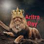 Aritra Ray