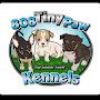 @808tinypawkennels5