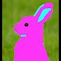 Yellow and pink hare