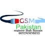 @gsmpakistan281