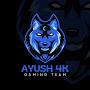 Ayush's 4k