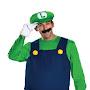 Super Luigi2016