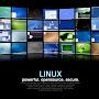 Next GNU linux