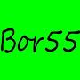Bor55 Gaming