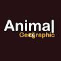 Animal Geographic