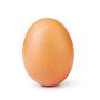 @egg_egg_egg_egg_egg_egg_