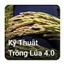 Kỹ Thuật Trồng Lúa 4.0