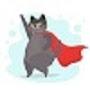 ╠ Super Cat ╣