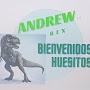 @andrew-rex489