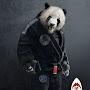 Panda_0880