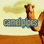 @camelpipes139