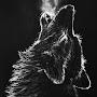 Wolf d Hunter