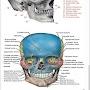 @mbbsmedicos7041