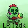 LR_1ZDK