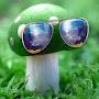 swagy mushroom
