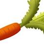 Callsign Carrot