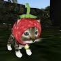 Una gata con frutilla