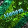 _Monom_