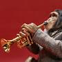 Trumpet Monkey
