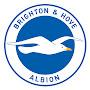 Brighton and Hove Albion Fan